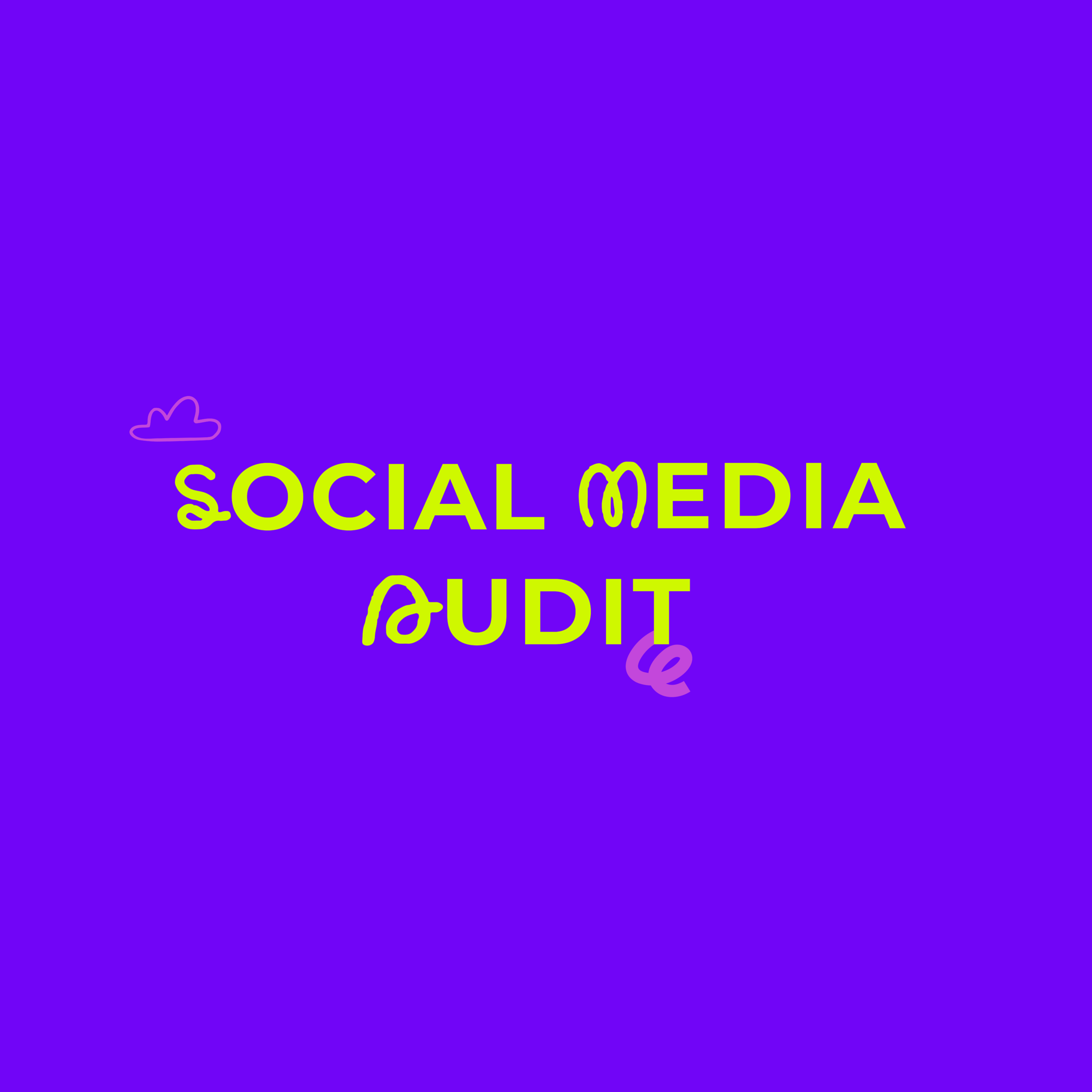 Social Media Brand Audit: Understanding Audience Perception Patterns